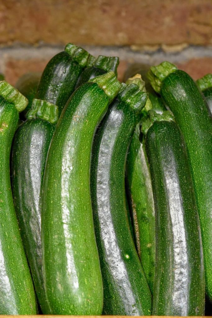 Carbassò