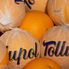 Naranjas de mesa Tollupol