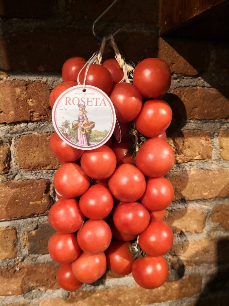 Tomàquet Penjar Ristra
